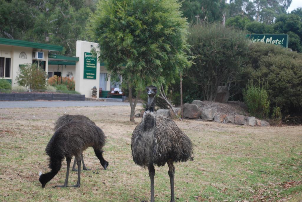 Gariwerd Motel Halls Gap Buitenkant foto