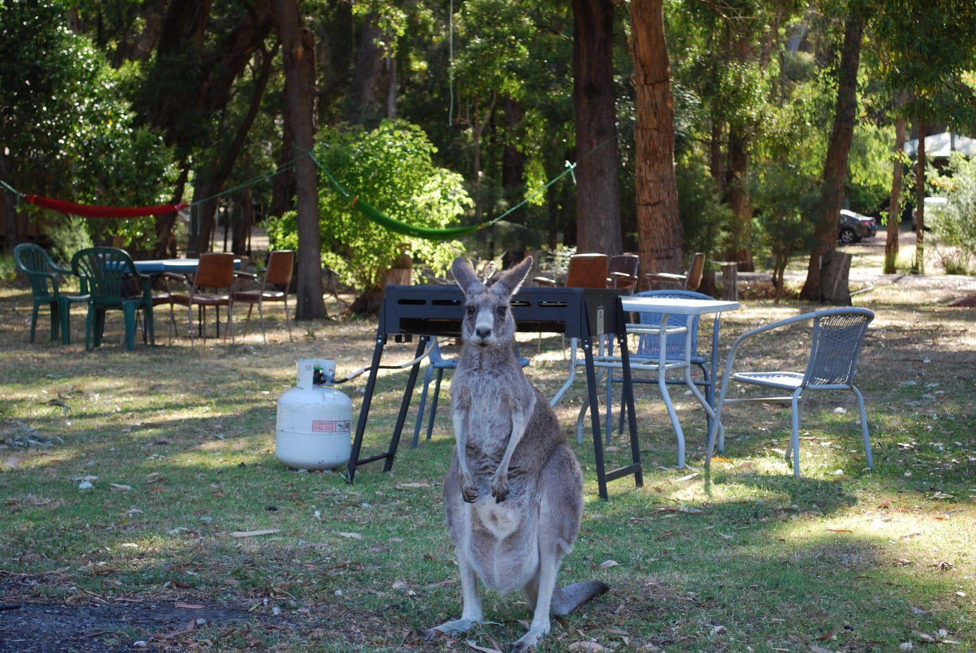 Gariwerd Motel Halls Gap Buitenkant foto